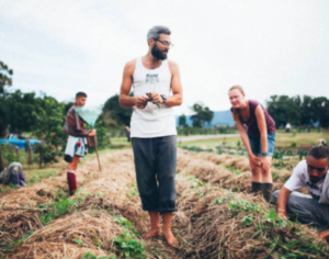 Screen Shot 2017-11-24 at 9.01.08 pm